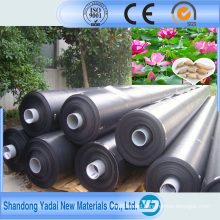 ASTM Standard HDPE/LDPE/LLDPE Geomembrane